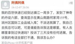 最近百世快递的最新爆料,揭秘行业变革背后的故事